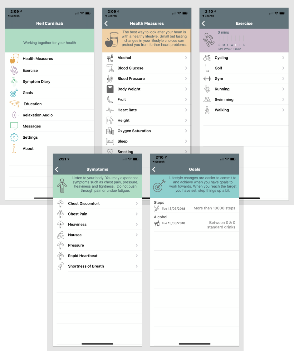 The inherited research app before the redesign